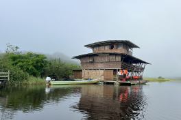 Marais de Kaw Guyane